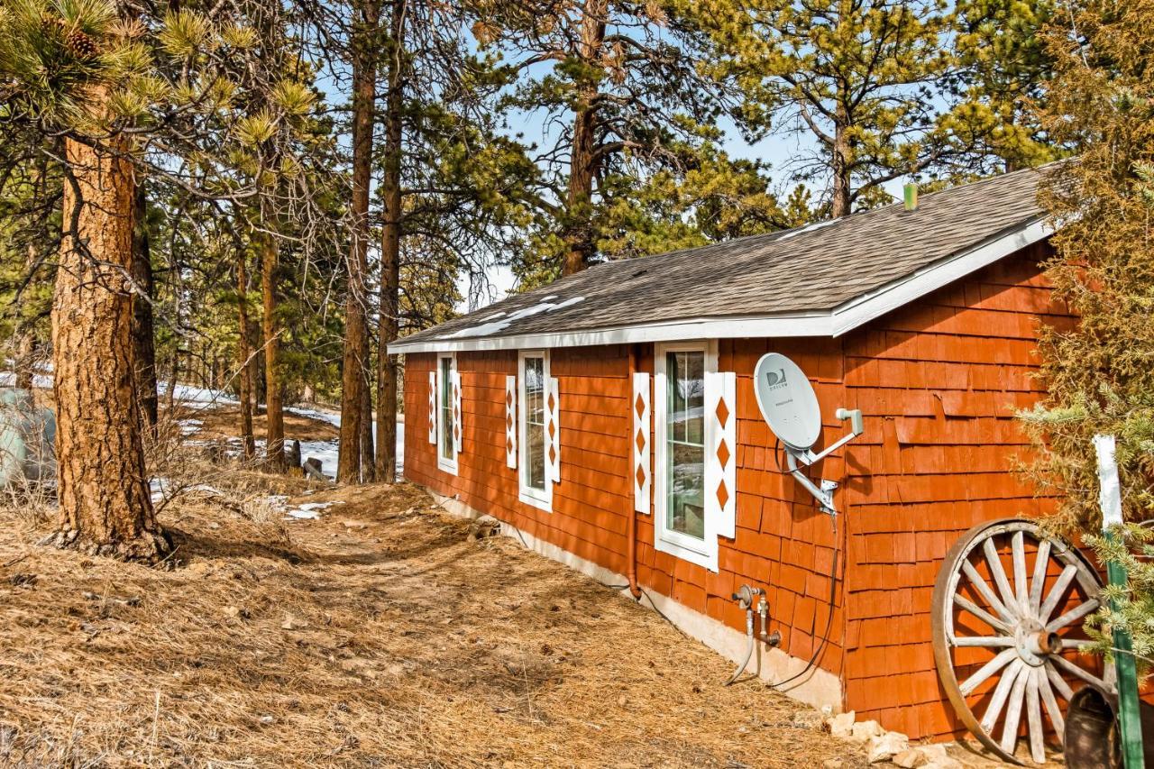 Grandma's * Estes Park